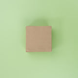 Surv Napkins Eco 2 Ply 80pack