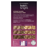 Clairol Bold & Bright Hair Colour Pińa Colada 110 1pack