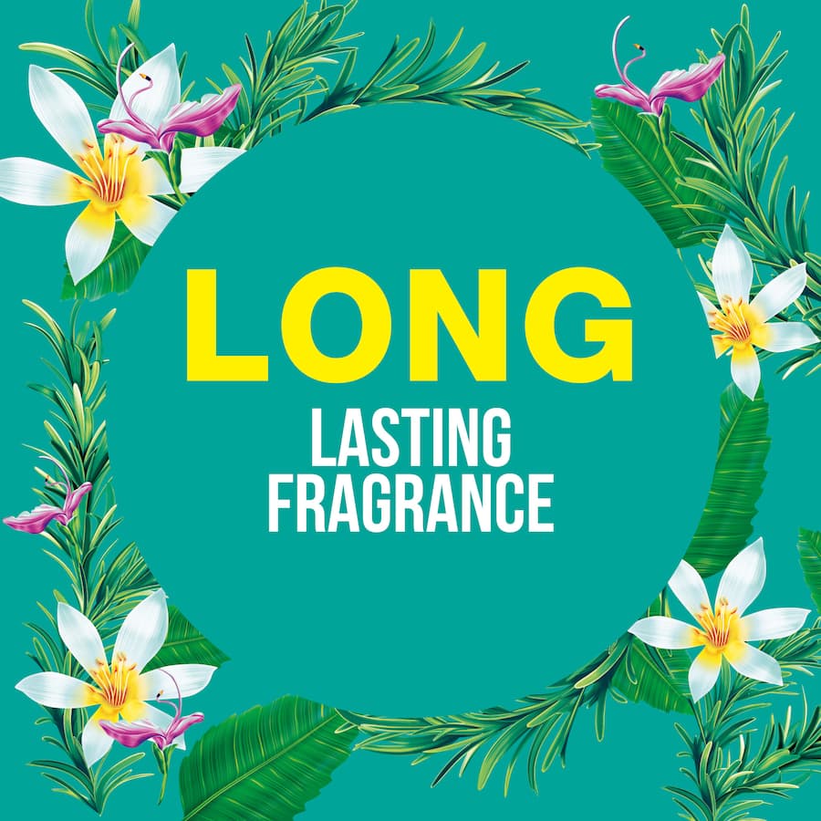 Surf Laundry Powder 5 In 1 Herbal Extracts - 3kg