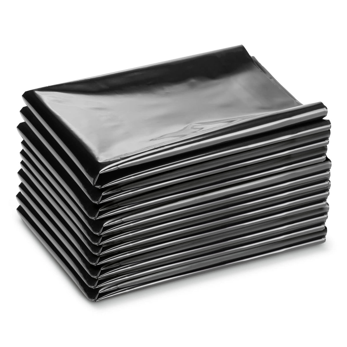 Karcher Plastic bag for dust-free disposal 10 (Pack)