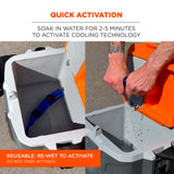 Chill-Its, Cooling Hard Hat Liner, 6716