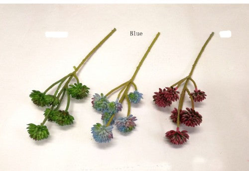 Tall Fleshy Succulent (Blue)