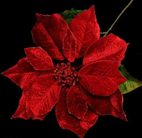 Poinsettia Stem - Single Glittered (Red Velvet)