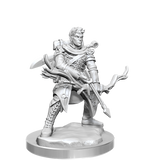 D&D Frameworks Half-Elf Ranger Male