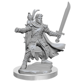 D&D Frameworks Half-Elf Ranger Male