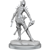 Pathfinder Legendary Cuts Elf Rogue Female