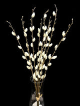 Pussy Willow Bush