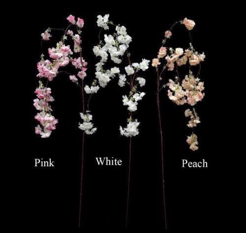 White Cherry Blossom Branch
