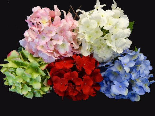 Pink Hydrangea