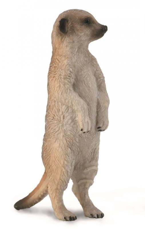 CollectA Meerkat