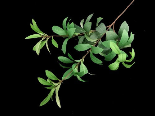 Azalea Leaf Spray (Green)