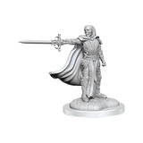 D&D Nolzurs Marvelous Miniatures Death Knights