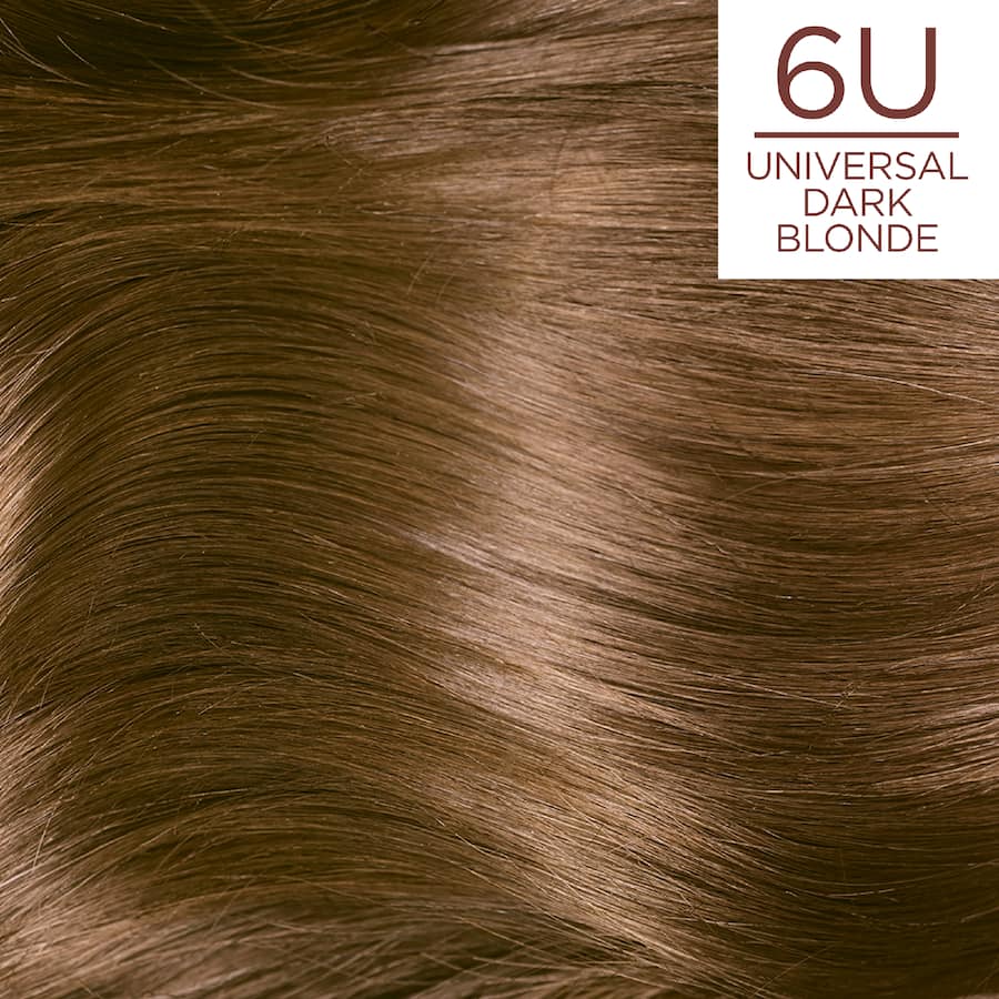Loreal Excellence Hair Colour Universal Dark Blonde 6u - 1pack