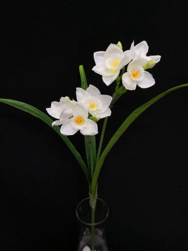 Daffodil Stem (White) - Artificial