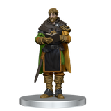 D&D Icons of the Realms Waterdeep Dragonheist Box Set 2