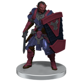 D&D Icons of the Realms Hobgoblin Warband
