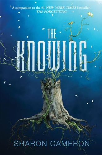 A captivating novel about memory and identity, featuring Samara and Beckett in a quest for hope in a forgotten civilization.