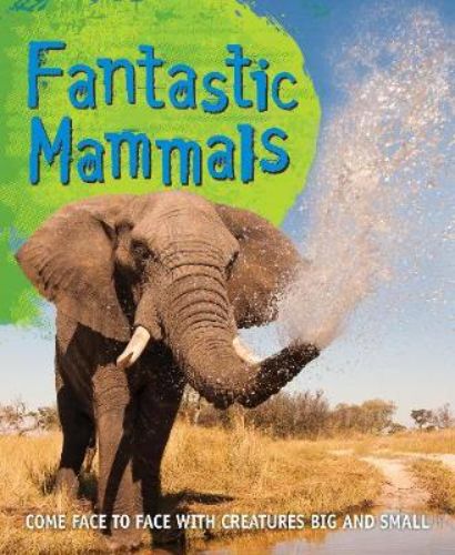 Illustrated paperback book, 'Fast Facts! Fantastic Mammals,' introducing kids to unique mammal facts and conservation.