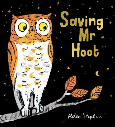 Saving Mr Hoot: A vibrant picture book about a boy's mission to save his owl friend from tree destruction.