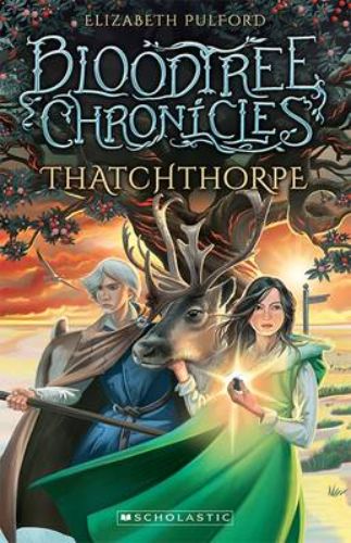 The Silvering Kingdom book cover featuring Abigail on a quest, with beautiful illustrations reflecting the enchanting adventure.