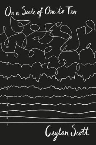 Cover of 'On a Scale of 1 to 10', a poignant novel exploring teen mental health and friendship through Tamar's journey.