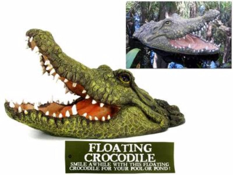 Floating Croc Head Realistic - 46cm