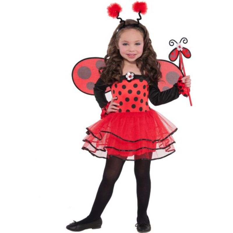 Costume Ballerina Bug  4-6 Years