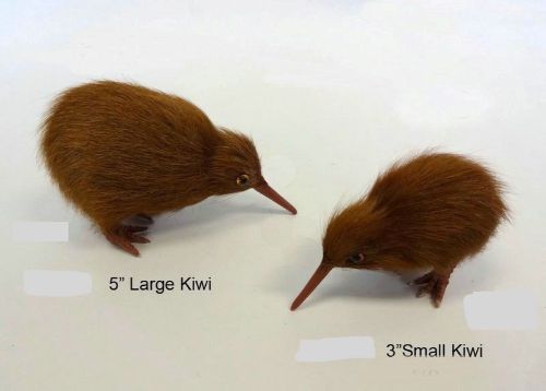 Ornament - Kiwi (Large)
