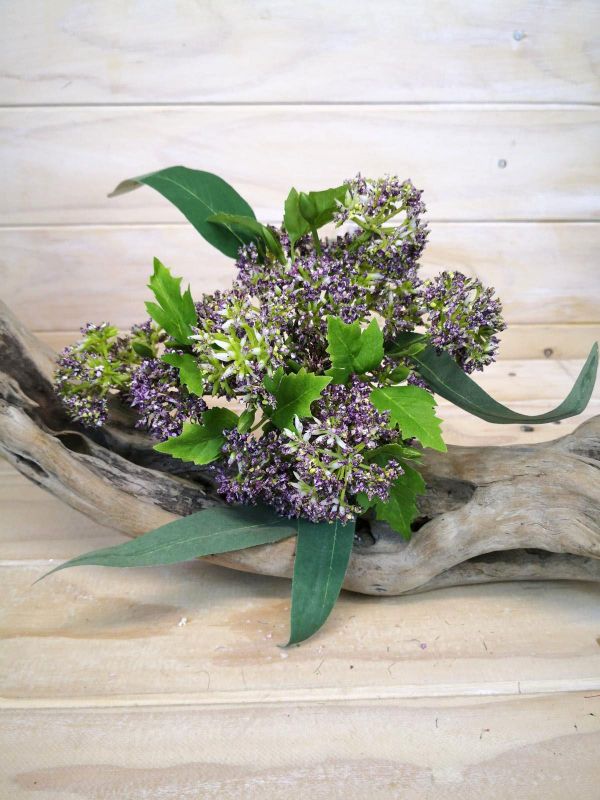 Thistal Bundle (Purple)