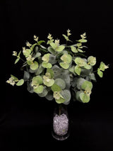 Eucalyptus Bunch (Green)