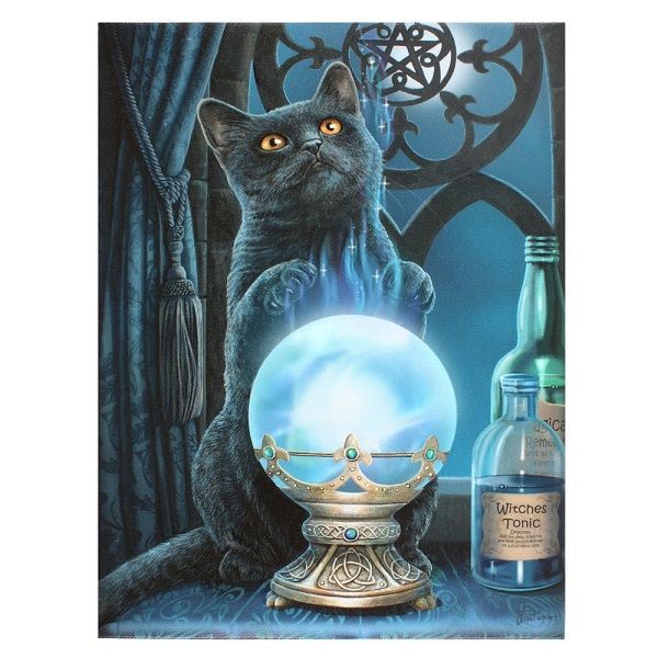 Canvas - Small Witches Apprentice  (Lisa Parker)
