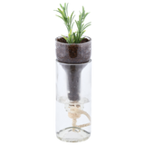 Planter Self Watering Bottle (7 x 7 x 22cm) - Set of 2