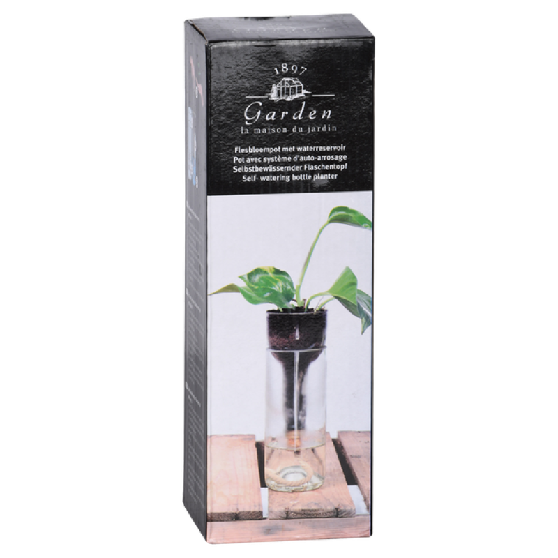 Planter Self Watering Bottle (7 x 7 x 22cm) - Set of 2