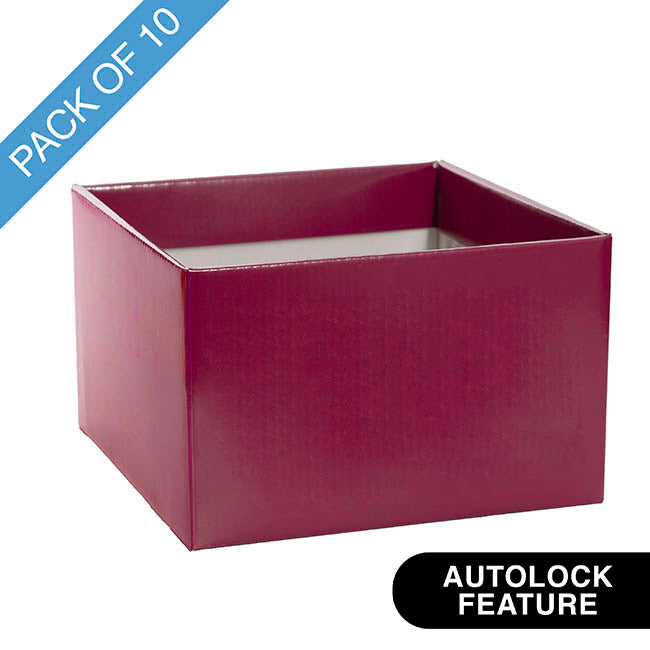 Large Posy Box Autolock Base Pack 10 Sugar Plum