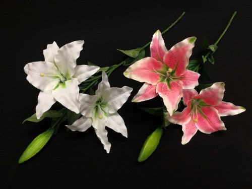 White Casablanca Lily