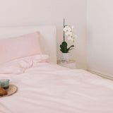 Pink Salt Fitted Sheet And Pillowcase Set Queen - Bambury