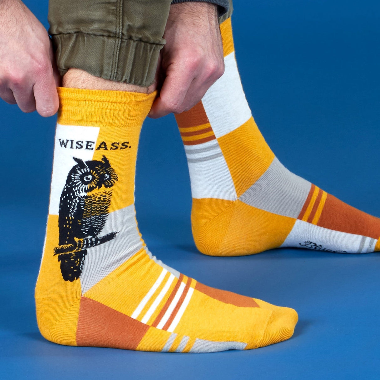 Men's Socks - Wiseass