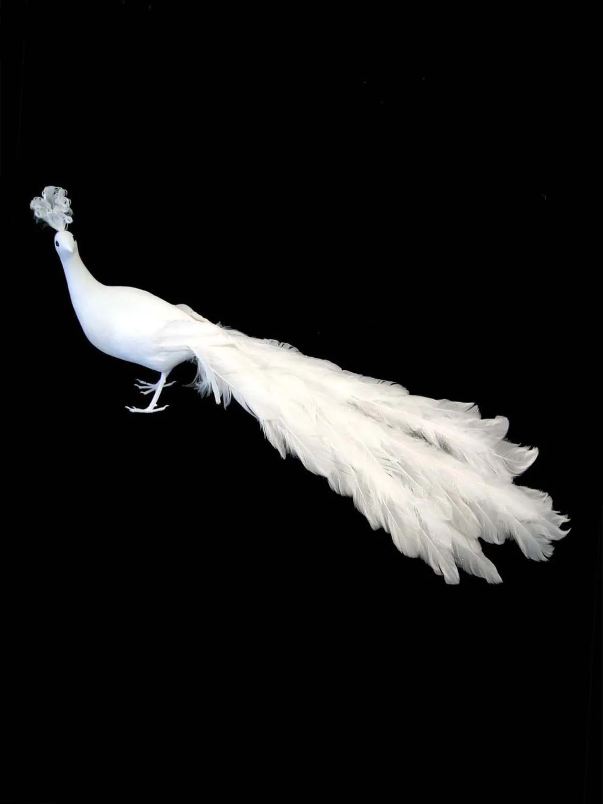 Ornament - Peacock - White Feather (Large)