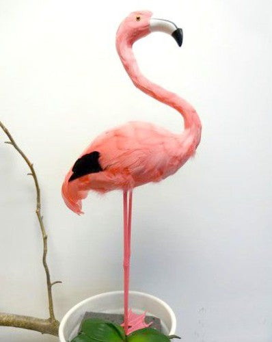 Ornament - Standing Flamingo - Large (Pink)
