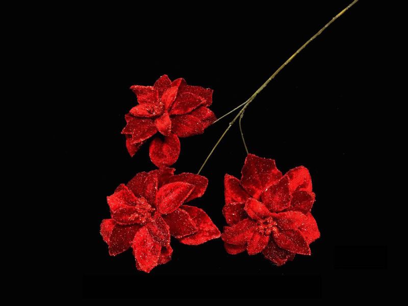 Artificial Iced Poinsettia Spray - X 3 (Red)