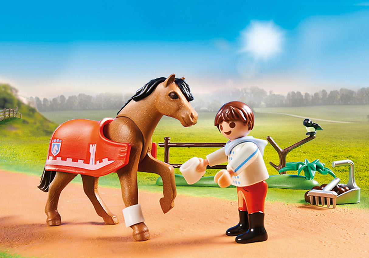 Playmobil - Collectible Connemara Pony