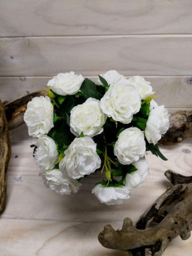 Rose Posy - Rambler (White)