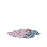Dish Cloth - Rolled (3 Pack)