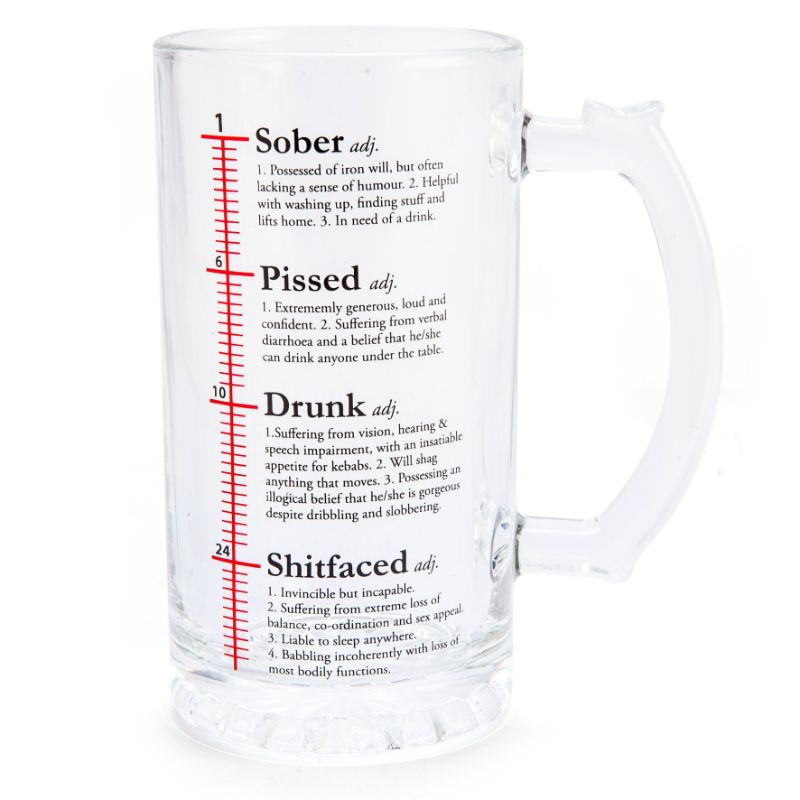 Beer Stein - Drinktionary (14.8cm)