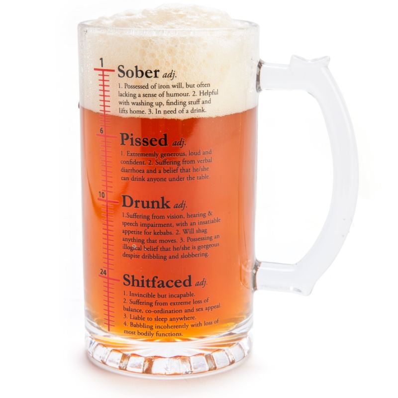 Beer Stein - Drinktionary (14.8cm)