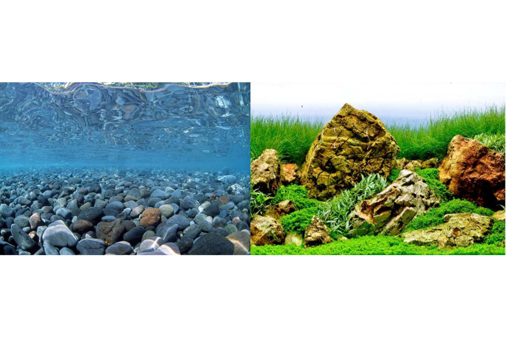River Rock/Sea of Green 45cm   -15m Roll -  Seaview Brilliant Backgrounds