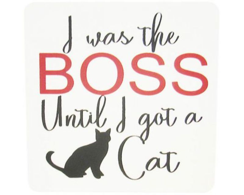 Charming wooden cat boss magnet, 10 x 10 cm, perfect for showcasing love for cats on fridge or locker.