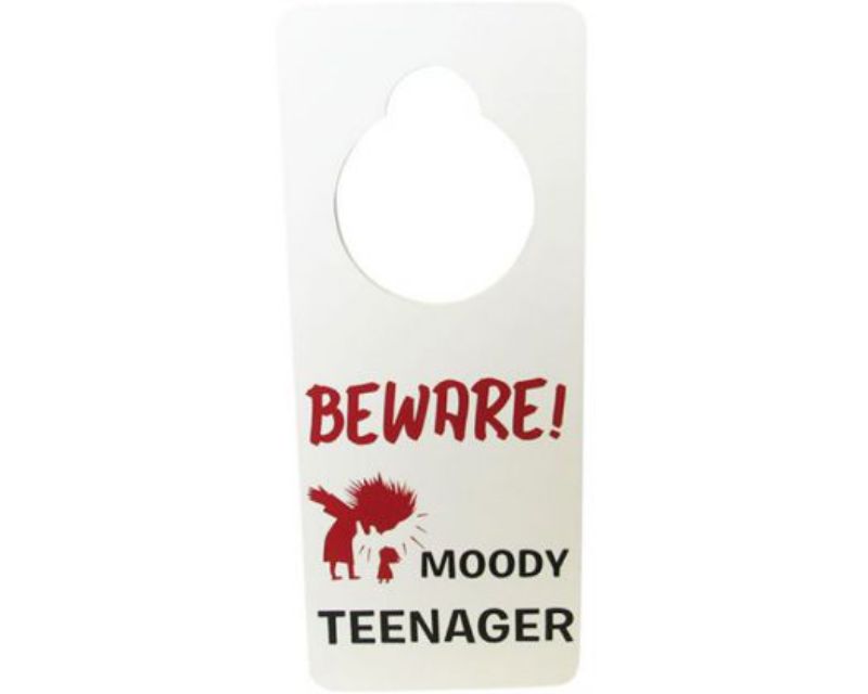 Stylish door sign for teenagers, 24x10 cm, perfect for personalizing their space and ensuring privacy.