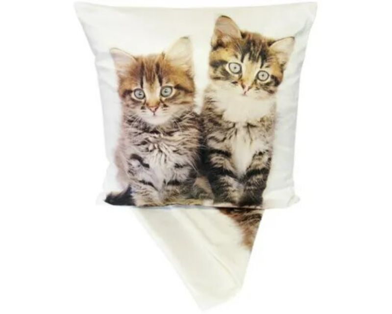 Cushion Cover - Plush Cute Kittens (44cm)