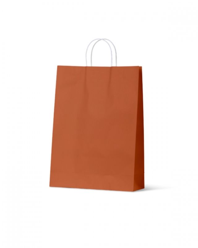 Paper Bags - Earth Collection Burnt Orange Large - 100 units